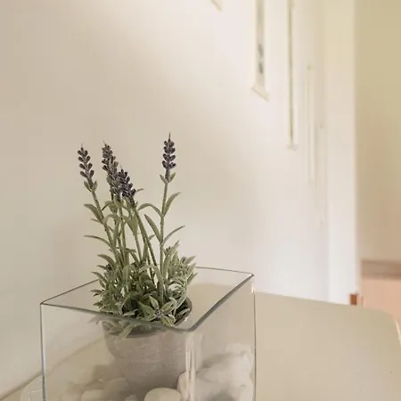 Apartment La Strada Kardamyli